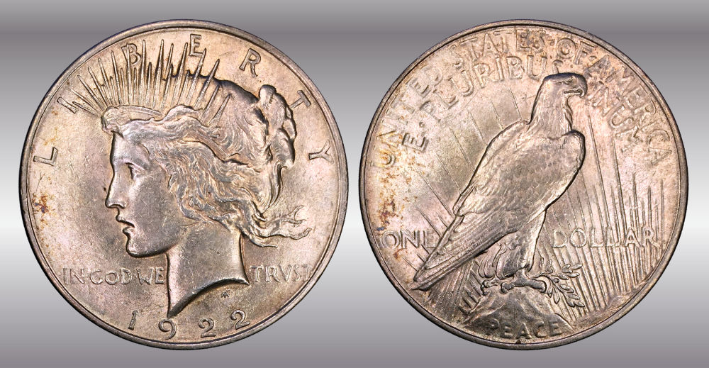 My-Raw-Peace-Dollar-Collection.-.-.-.-Warning!